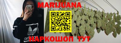 МДПВ Новозыбков