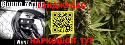 прущие грибы Новодвинск