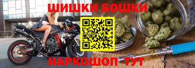 прущие грибы Новодвинск