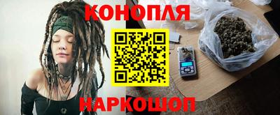 МДПВ Новозыбков