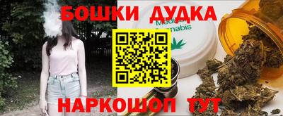 МДПВ Новозыбков