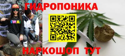 прущие грибы Новодвинск