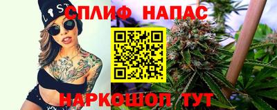 прущие грибы Новодвинск